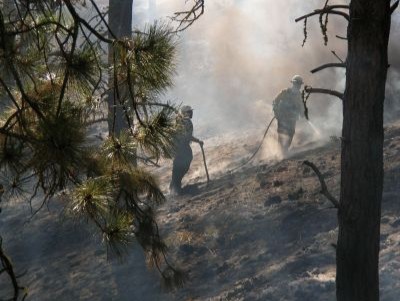 Firefighters stand on a smoldering hill surrounded by burnt trees