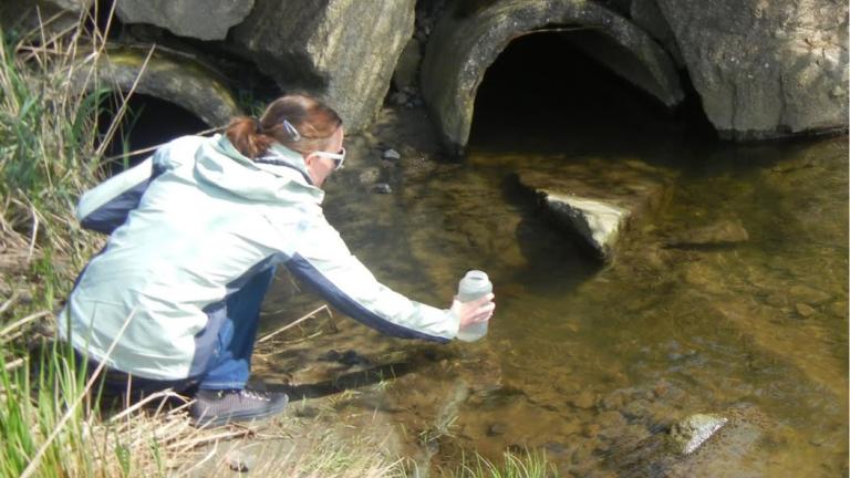 Woman collecting water sample from stream
